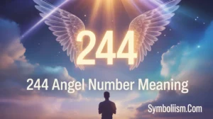 244 Angel Number Meaning