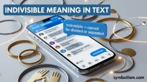 Indivisible meaning