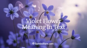 Violet Flower Meaning
